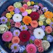 ヒメ日記 2026/01/18 13:45 投稿 むう バイオレンス