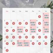 ヒメ日記 2026/04/20 16:55 投稿 むう バイオレンス