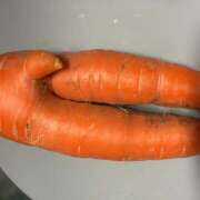 ヒメ日記 2025/11/20 07:04 投稿 ゆうり 吉祥寺人妻研究会