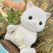 ヒメ日記 2025/03/22 01:15 投稿 るう ていくぷらいど.学園