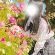 ヒメ日記 2025/11/23 00:00 投稿 るう ていくぷらいど.学園