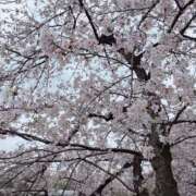 ヒメ日記 2026/04/04 15:01 投稿 るう ていくぷらいど.学園