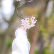 ヒメ日記 2026/04/09 17:35 投稿 るう ていくぷらいど.学園