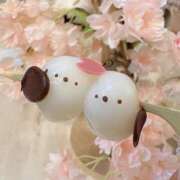 ヒメ日記 2026/04/18 15:14 投稿 るう ていくぷらいど.学園