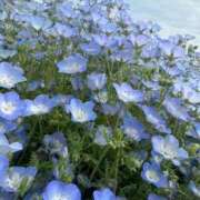 ヒメ日記 2026/05/01 14:59 投稿 るう ていくぷらいど.学園