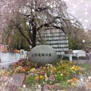 ヒメ日記 2026/04/02 22:43 投稿 みその ニューグランド