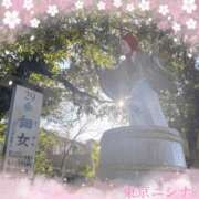 ヒメ日記 2025/02/19 15:31 投稿 ニシナ 東京★出張マッサージ委員会Z