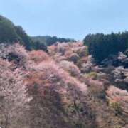 ヒメ日記 2025/04/16 15:56 投稿 ニシナ 東京★出張マッサージ委員会Z