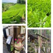 ヒメ日記 2025/05/21 16:30 投稿 ニシナ 東京★出張マッサージ委員会Z