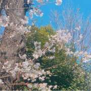ヒメ日記 2026/03/31 15:51 投稿 ニシナ 東京★出張マッサージ委員会Z