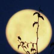 ヒメ日記 2025/10/07 18:55 投稿 アキナ コンプレックス(京都)