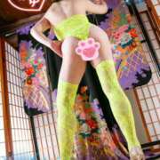 アキナ 素敵な夜を🌛 コンプレックス(京都)