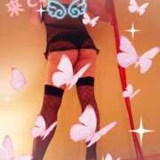 ヒメ日記 2026/05/19 20:56 投稿 アキナ コンプレックス(京都)
