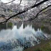 ヒメ日記 2026/04/05 17:32 投稿 りりこ 新宿サンキュー