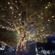 ヒメ日記 2024/12/29 16:47 投稿 あいら INFINITY GOLD～インフィニティゴールド～