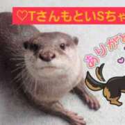 ヒメ日記 2025/04/06 03:01 投稿 雪村　あおい 魅惑の官能アロマエステ　Eureka！八王子 ～エウレカ！～