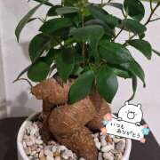 ヒメ日記 2025/07/14 00:25 投稿 雪村　あおい 魅惑の官能アロマエステ　Eureka！八王子 ～エウレカ！～