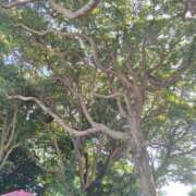 ヒメ日記 2025/08/20 19:54 投稿 雪村　あおい 魅惑の官能アロマエステ　Eureka！八王子 ～エウレカ！～