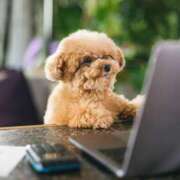 ヒメ日記 2025/08/30 22:19 投稿 雪村　あおい 魅惑の官能アロマエステ　Eureka！八王子 ～エウレカ！～