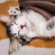 ヒメ日記 2025/09/28 20:06 投稿 雪村　あおい 魅惑の官能アロマエステ　Eureka！八王子 ～エウレカ！～