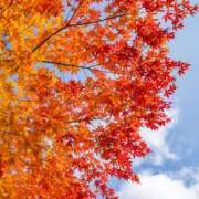 ヒメ日記 2025/10/17 10:11 投稿 雪村　あおい 魅惑の官能アロマエステ　Eureka！八王子 ～エウレカ！～