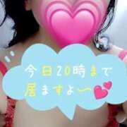 ヒメ日記 2025/07/28 15:34 投稿 深田-ふかだ MSC 妄想紳士倶楽部 鶯谷店