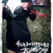 ヒメ日記 2024/12/10 12:39 投稿 ヤヨイ秘書 秘書の品格 クラブアッシュ ヴァリエ