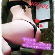 ヒメ日記 2024/12/14 12:14 投稿 ヤヨイ秘書 秘書の品格 クラブアッシュ ヴァリエ