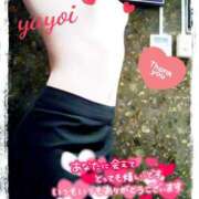 ヒメ日記 2025/01/31 09:49 投稿 ヤヨイ秘書 秘書の品格 クラブアッシュ ヴァリエ