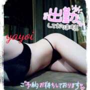 ヒメ日記 2025/02/13 09:20 投稿 ヤヨイ秘書 秘書の品格 クラブアッシュ ヴァリエ