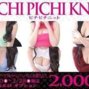 ヒメ日記 2025/02/13 12:01 投稿 ヤヨイ秘書 秘書の品格 クラブアッシュ ヴァリエ