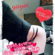 ヒメ日記 2025/03/15 09:02 投稿 ヤヨイ秘書 秘書の品格 クラブアッシュ ヴァリエ