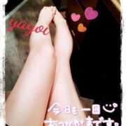 ヒメ日記 2025/03/18 14:01 投稿 ヤヨイ秘書 秘書の品格 クラブアッシュ ヴァリエ