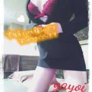 ヒメ日記 2025/05/29 11:58 投稿 ヤヨイ秘書 秘書の品格 クラブアッシュ ヴァリエ