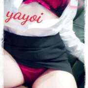 ヒメ日記 2025/06/03 11:30 投稿 ヤヨイ秘書 秘書の品格 クラブアッシュ ヴァリエ