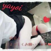 ヒメ日記 2025/09/03 14:58 投稿 ヤヨイ秘書 秘書の品格 クラブアッシュ ヴァリエ