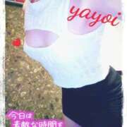 ヒメ日記 2025/11/10 14:45 投稿 ヤヨイ秘書 秘書の品格 クラブアッシュ ヴァリエ