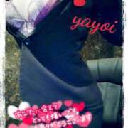 ヒメ日記 2025/11/15 14:58 投稿 ヤヨイ秘書 秘書の品格 クラブアッシュ ヴァリエ