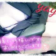 ヒメ日記 2025/11/19 12:47 投稿 ヤヨイ秘書 秘書の品格 クラブアッシュ ヴァリエ