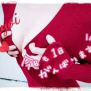 ヒメ日記 2025/11/22 11:59 投稿 ヤヨイ秘書 秘書の品格 クラブアッシュ ヴァリエ