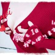 ヒメ日記 2025/11/22 12:18 投稿 ヤヨイ秘書 秘書の品格 クラブアッシュ ヴァリエ