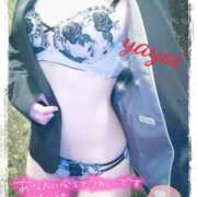 ヒメ日記 2025/11/22 17:01 投稿 ヤヨイ秘書 秘書の品格 クラブアッシュ ヴァリエ