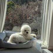 MARIA 🩷 GINGIRA☆TOKYO～ギンギラ東京～