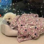 ヒメ日記 2026/01/22 14:04 投稿 MARIA GINGIRA☆TOKYO～ギンギラ東京～