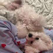 ヒメ日記 2026/03/23 18:25 投稿 MARIA GINGIRA☆TOKYO～ギンギラ東京～