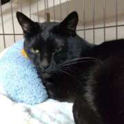 ヒメ日記 2024/12/06 05:09 投稿 ちはる SUZUME