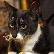 ヒメ日記 2024/12/10 05:32 投稿 ちはる SUZUME