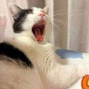 ヒメ日記 2024/12/12 04:16 投稿 ちはる SUZUME