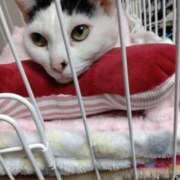 ヒメ日記 2024/12/15 17:33 投稿 ちはる SUZUME