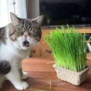 ヒメ日記 2024/12/15 20:58 投稿 ちはる SUZUME